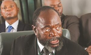 Read more about the article Chinotimba under fire over Mnangagwa video