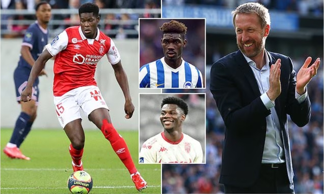 You are currently viewing Brighton approach Reims over highly rated Zimbabwe midfield star