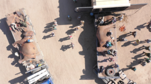 Read more about the article Mass translocation of animals in Zimbabwe canceled after parties fall out