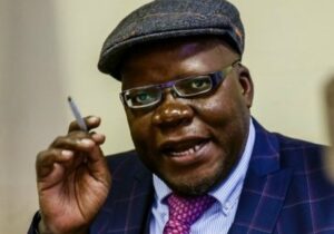 Read more about the article West Property slams Biti over “false claims”