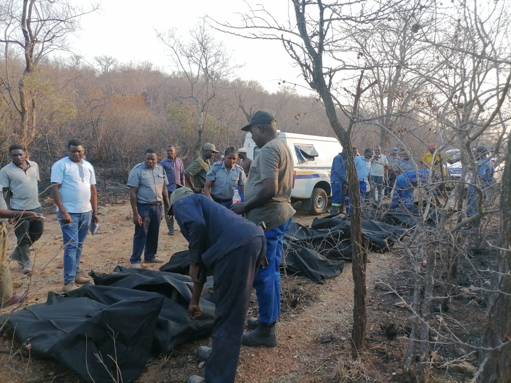 You are currently viewing 10 killed while battling veld fire in Esigodini