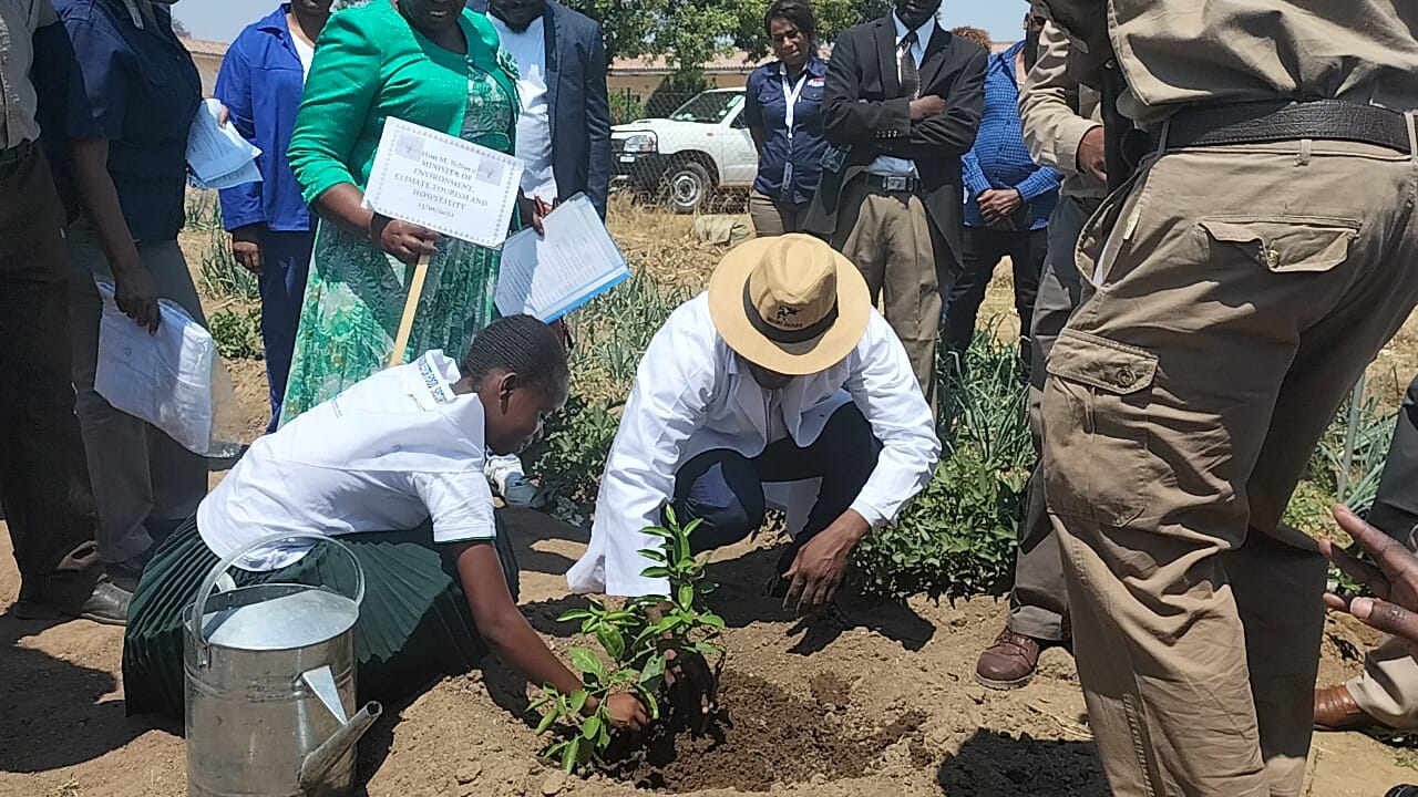 You are currently viewing Ndlovu helps plant 74 tree seedlings in primary school emotional return