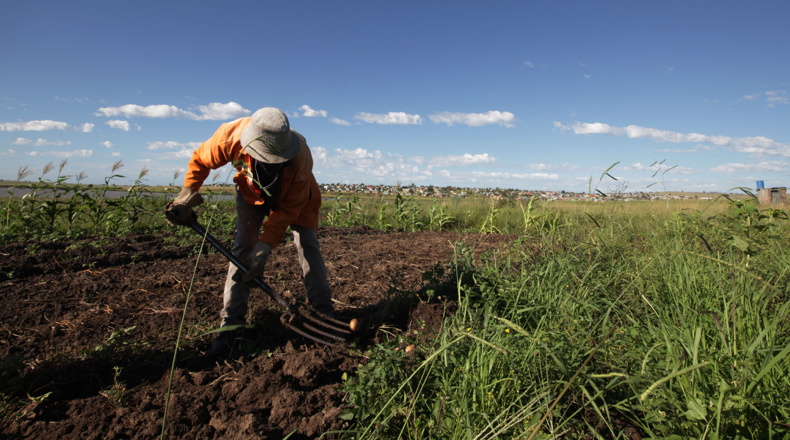 You are currently viewing Development partners launch multisectoral food security programme