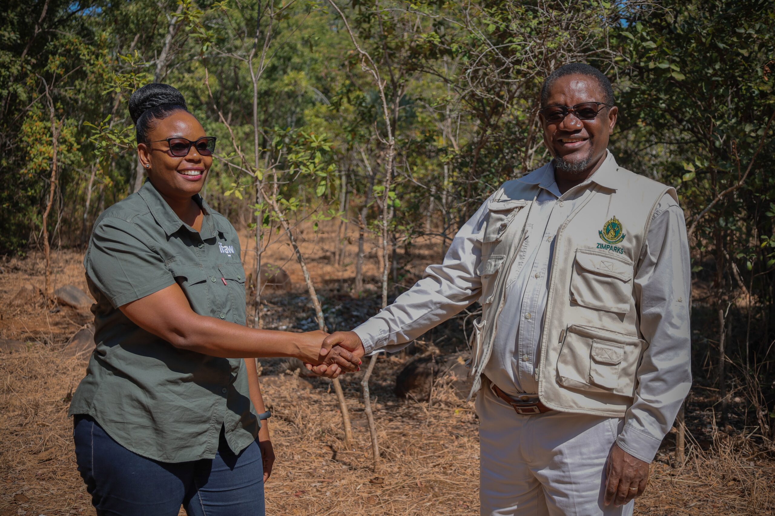 You are currently viewing ZimParks US$50M 25-year pact seals a thriving future for Hwange National Park