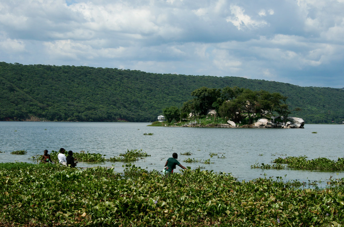 You are currently viewing Four Rhinos die at Lake Chivero due to pollution, ecosystem at risk