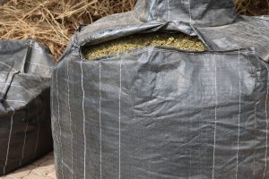 Read more about the article Harare trio arrested with nearly 5 tonnes of Cannabis
