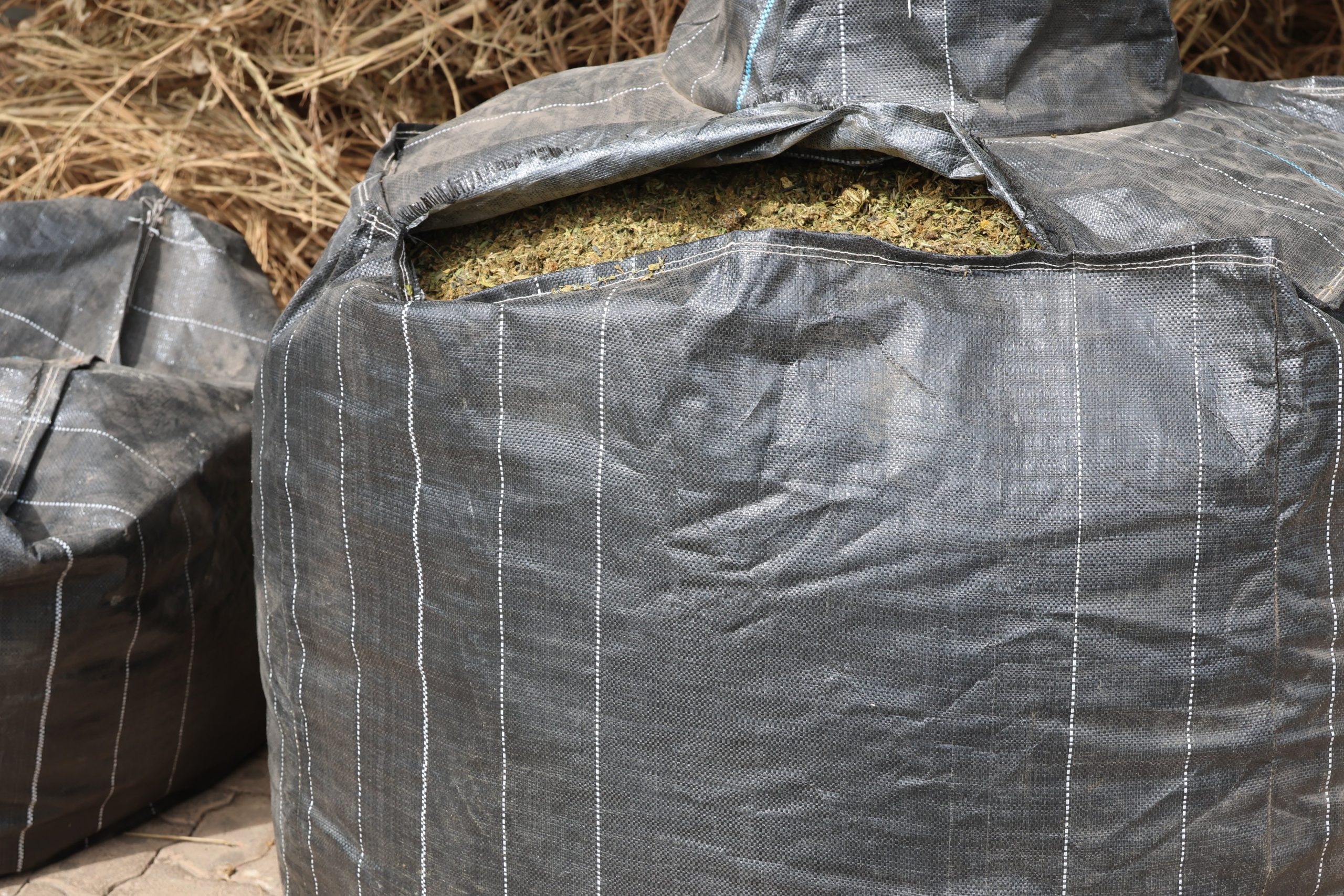 You are currently viewing Harare trio arrested with nearly 5 tonnes of Cannabis