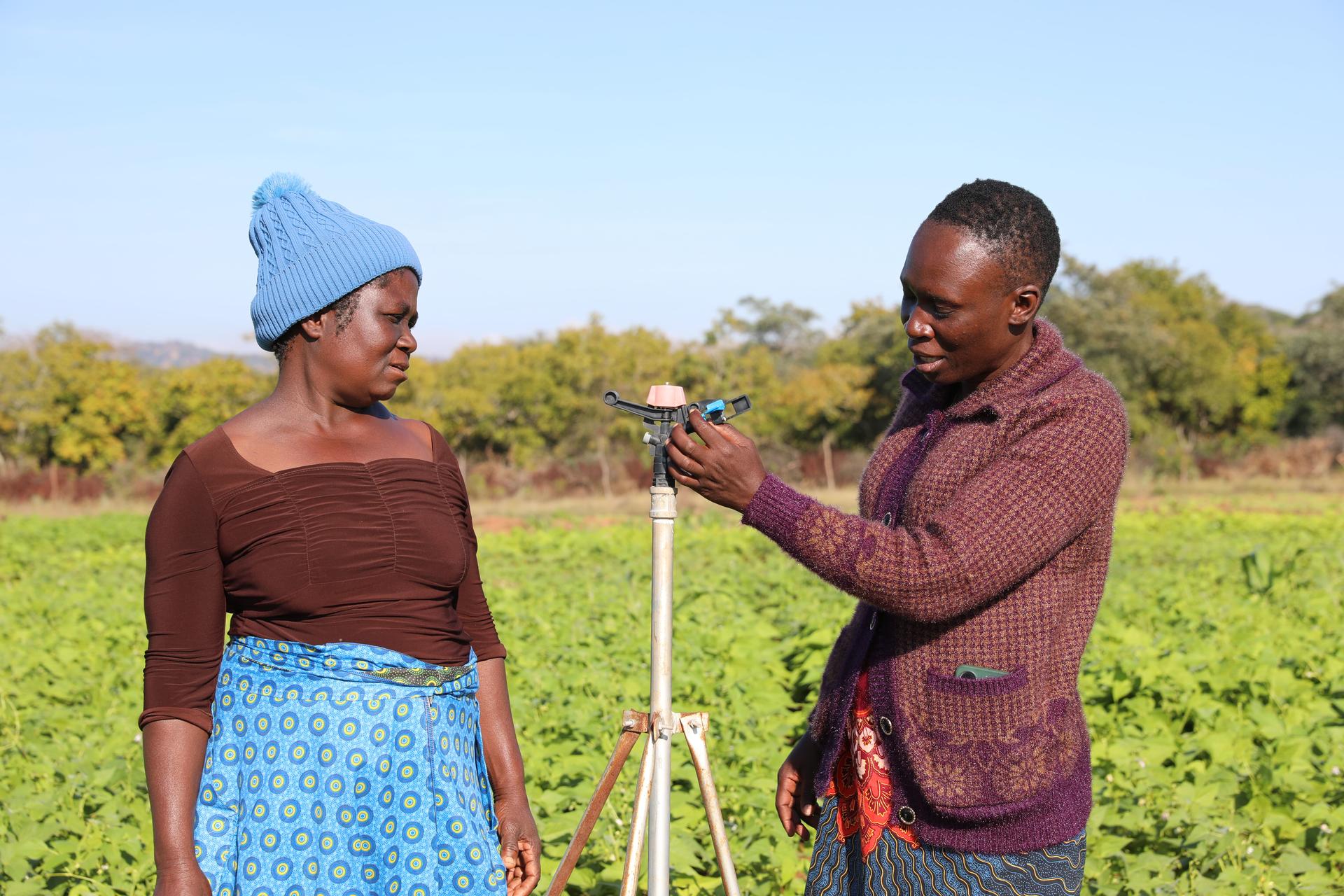 You are currently viewing Revitalised Farai Irrigation Scheme Brings New Hope to Farming Families in Chipinge