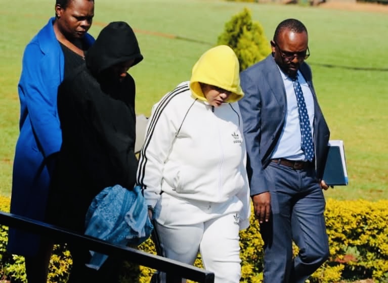 You are currently viewing Mnangagwa’s daughter-in-law granted bail in drug case
