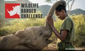 Read more about the article More than 2,000 rangers race across Africa to raise conservation funds