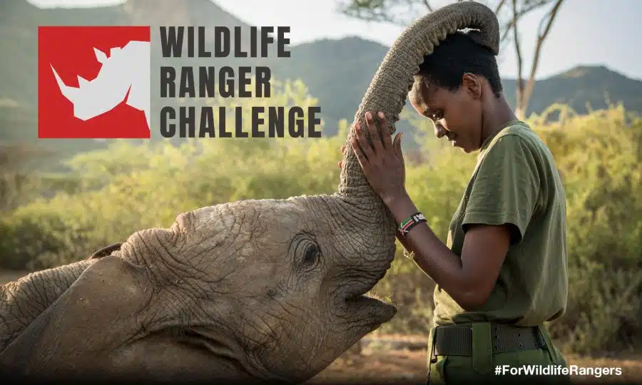 You are currently viewing More than 2,000 rangers race across Africa to raise conservation funds