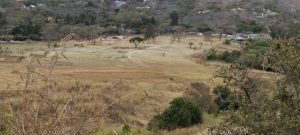 Read more about the article Glen Lorne residents take wetland development fight to court