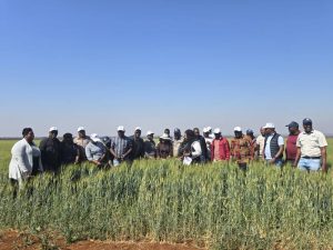 Read more about the article AMA irrigation projects transform Mash Central farming